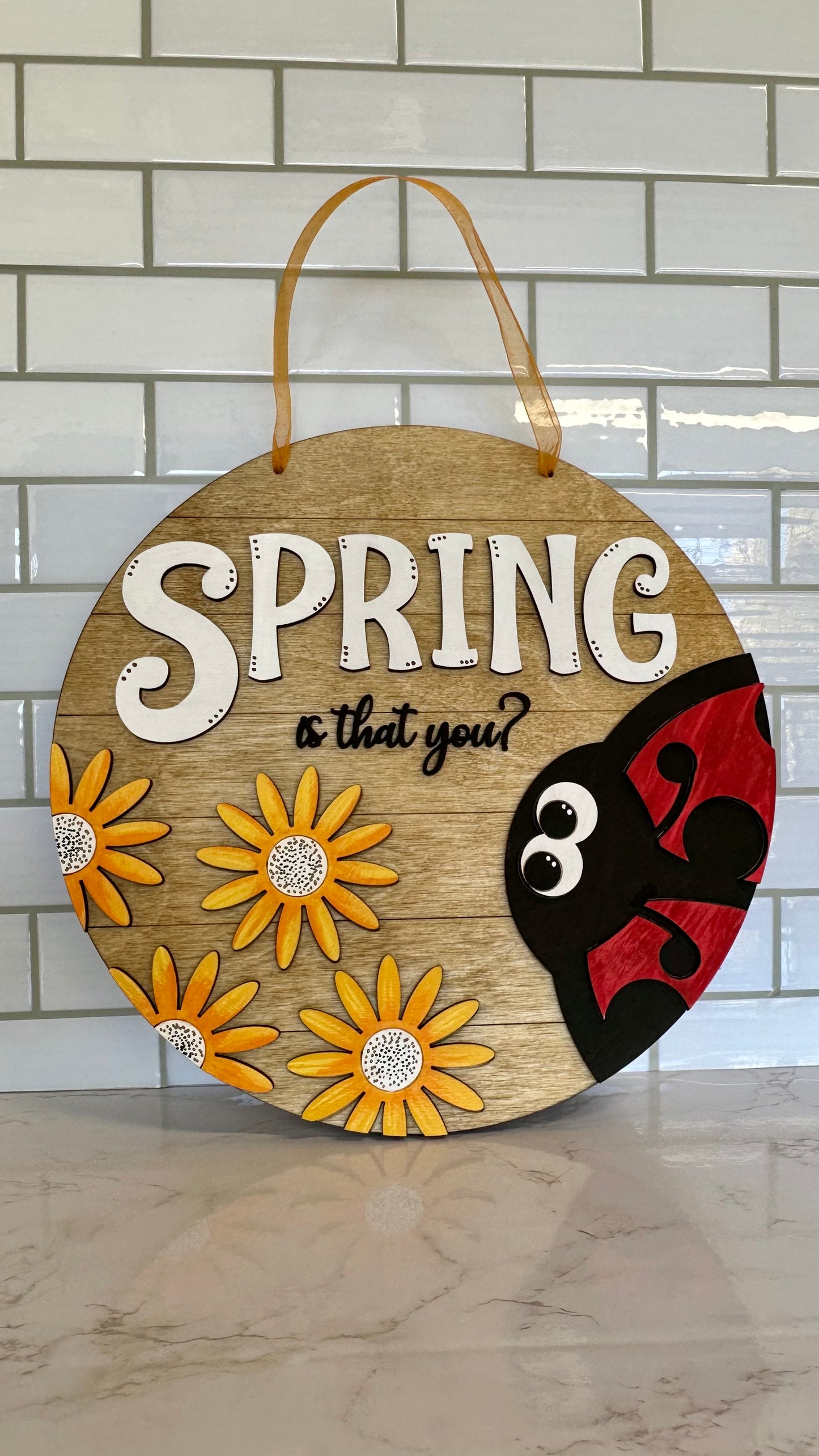 Lady Bug Spring Door hanger